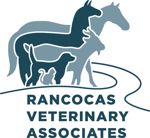 Rancocas Veterinary Associates