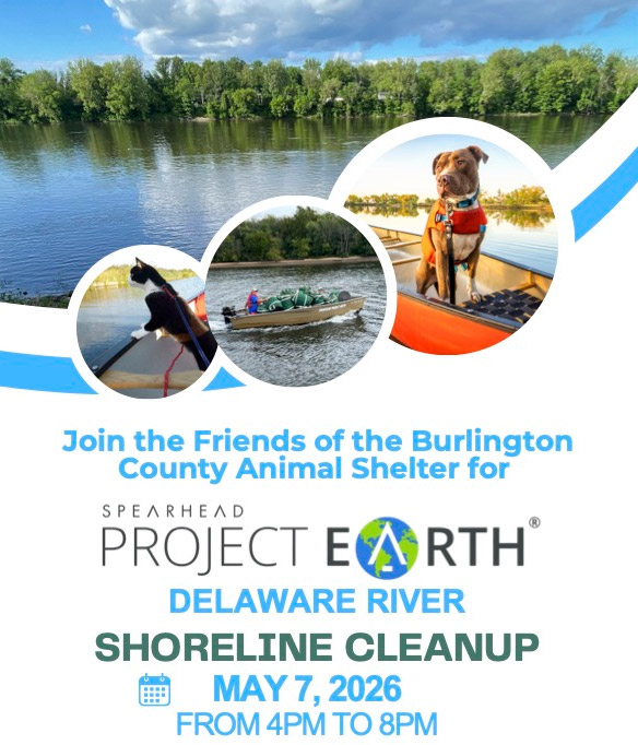 Spearhead Shoreline Cleanup