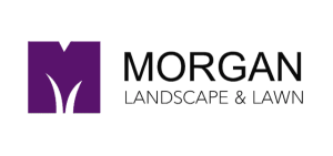 morgan landscape vector purple